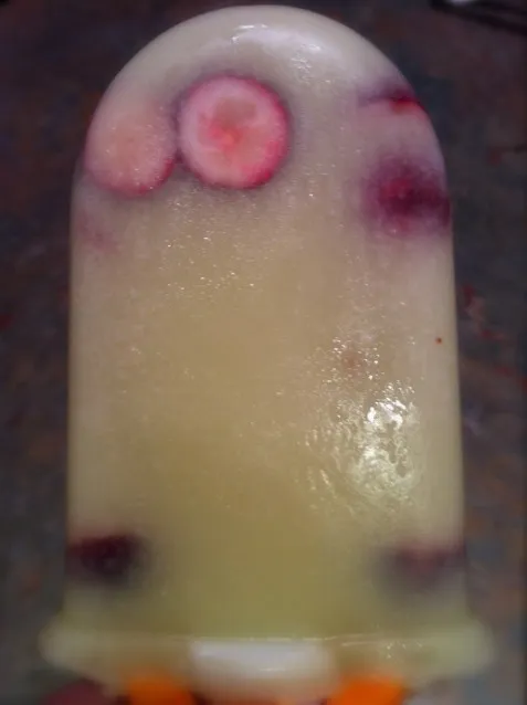 Cranberry Cucumber Ice Pop|http://melissasmenu.wordpress.com/さん