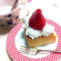 cheese cake|tomさん