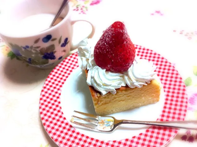 cheese cake|tomさん