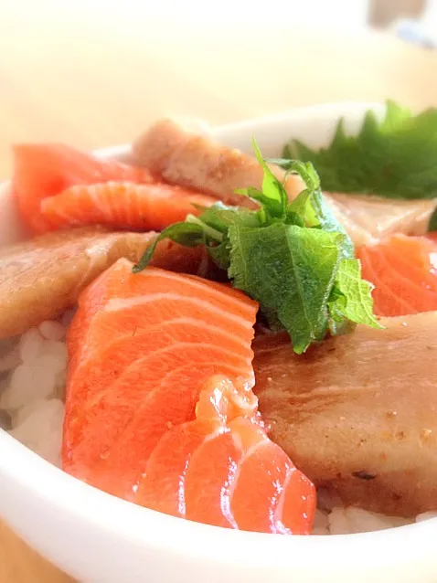 鮭とマグロのヅケ丼|よ〜んさん