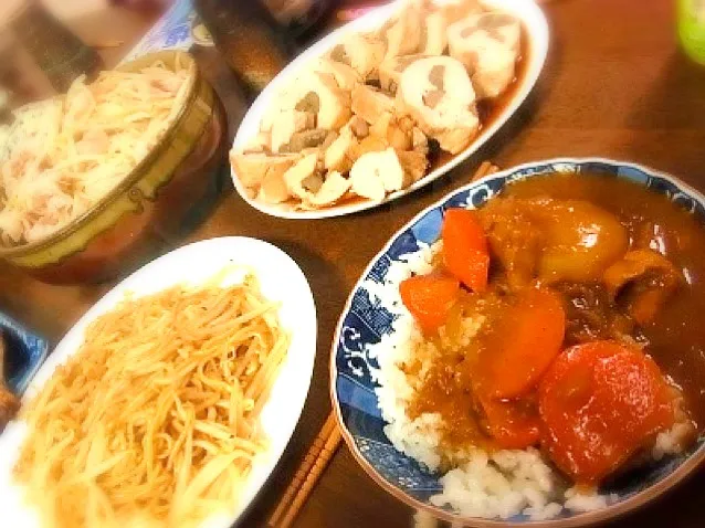 残り物スパイスカレー 胸肉とごぼうの柔らか煮他|タケハナさん