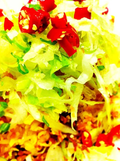 Closeup view (Bird's Eye Chilies Fried Rice)|Suhailiさん