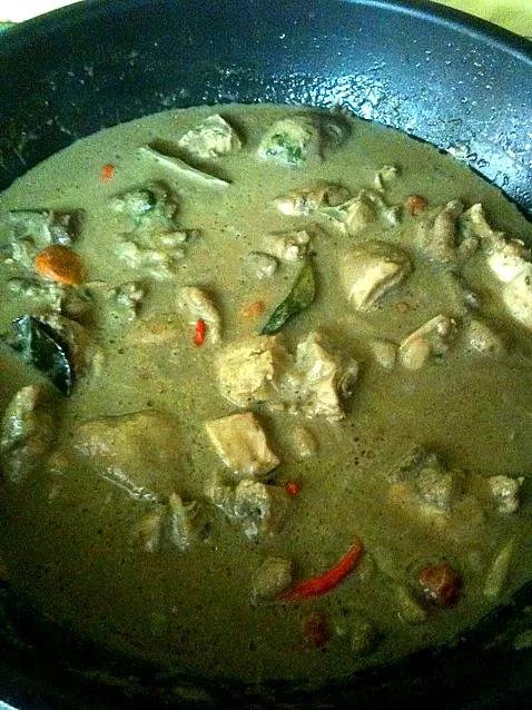 Snapdishの料理写真:thai green curry chicken|iFahさん