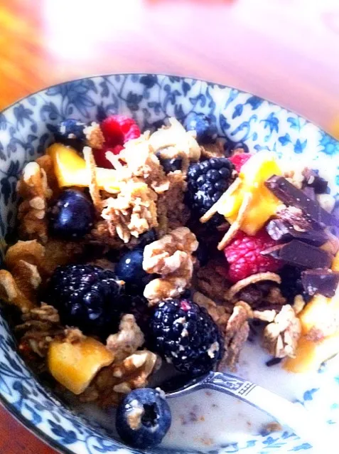 Snapdishの料理写真:berries jackfruit nuts choc cereal|willzさん