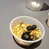 Blueberry granola|Ryan Millerさん