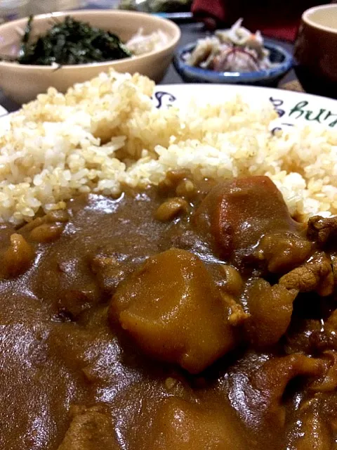 玄米ご飯とカレー|Makoさん