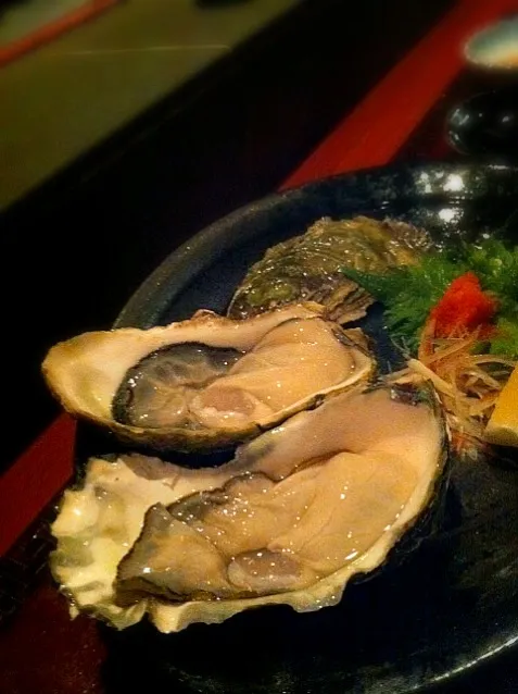 oysters & ponzu|willzさん