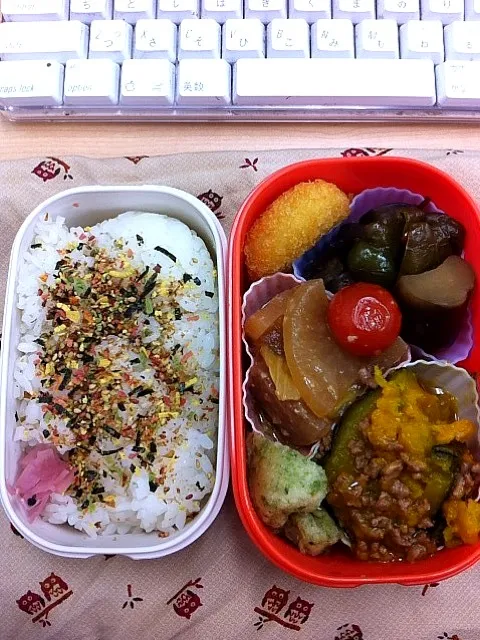 Snapdishの料理写真:野菜弁当 512kcal@TFT|hama noriさん