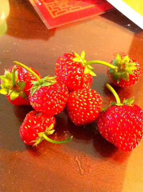 strawberry grown by my father|Tsung-Che Tsaiさん