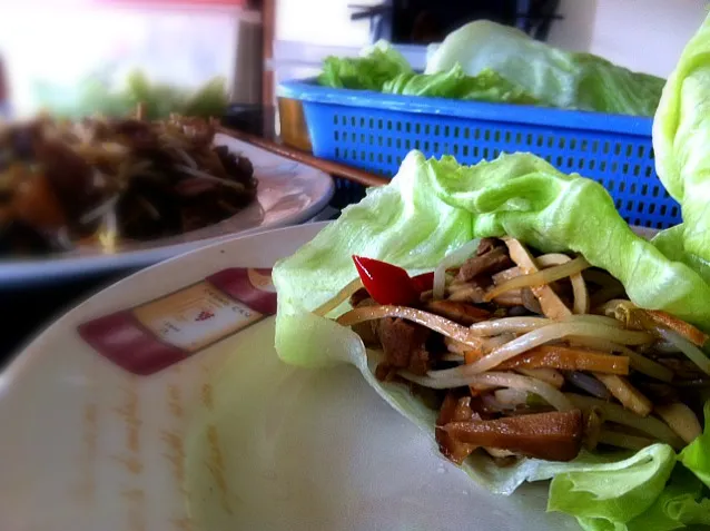 Duck lettuce roll|moonbunnyさん