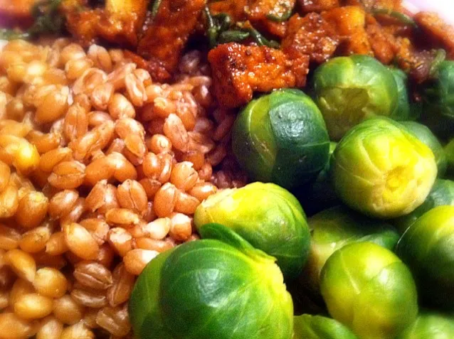 spelt, brussel sprouts, tofu with samphire|Gabiさん