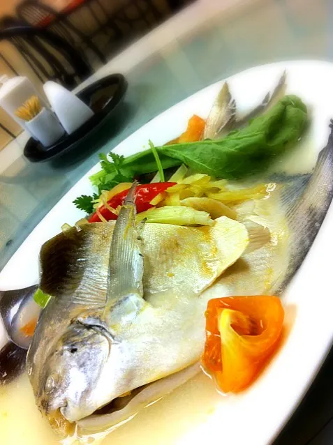 teochew steamed promfret|willzさん