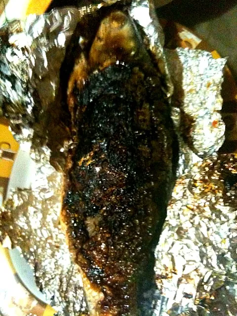 GRiLLeD STuFFeD MiLKFiSH|KyaNNさん