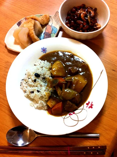 どうしてもカレーが食べたくて…|まっきさん