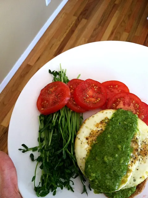 Open Faced Egg Sandwich with Spinach Pesto and Pea Shoots|Michelleさん