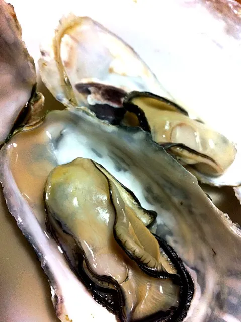 牡蠣！|miho pkissさん