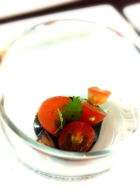 cherry tomato goma starter|willzさん