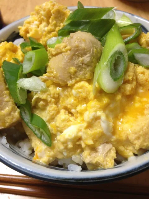 親子丼|sat miyataさん