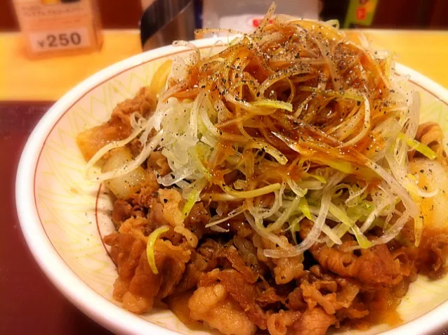 白髪ねぎ牛丼。中盛いってみた。|hirotomoさん