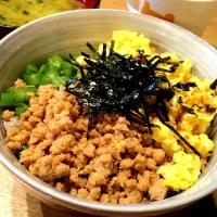 Snapdishの料理写真:三色そぼろ丼|Marie Namekawaさん