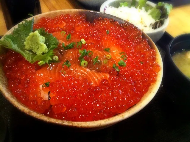 Snapdishの料理写真:鮭いくら丼。海の親子丼ですな。|hirotomoさん