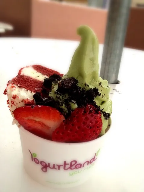 free yogurt ice on National Frozen Yogurt day!|Clara Kさん