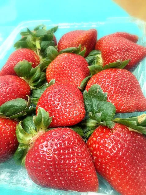 Gigantic Strawberry|Meiko S. Limさん