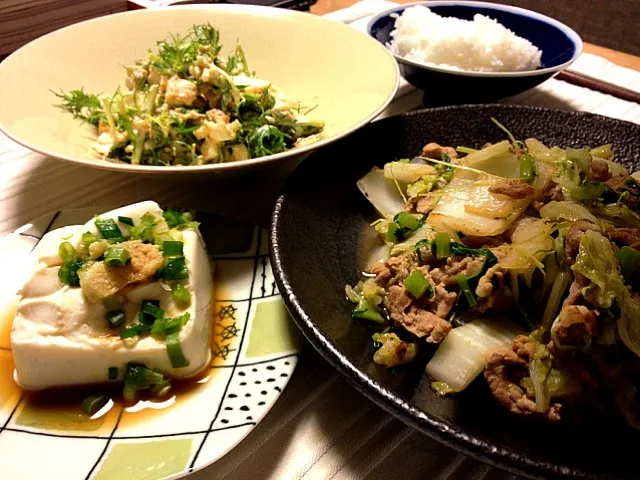 あれ。全部同じ色。白菜・大根の葉・豆苗・椎茸・豚肉の中華炒め、水菜とツナ・ゆで卵のサラダ、冷奴。全部違う食材なのにー！|canadienneさん