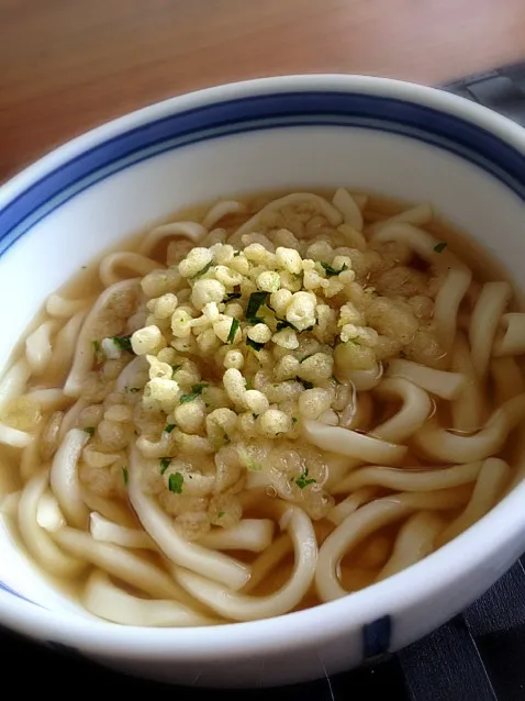 Snapdishの料理写真:長持ち麺 たぬきうどん|てつやさん