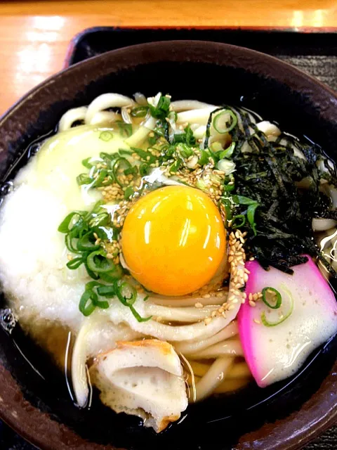 Snapdishの料理写真:月見山かけぶっかけうどん（大）|Tetsuya Kurokawaさん