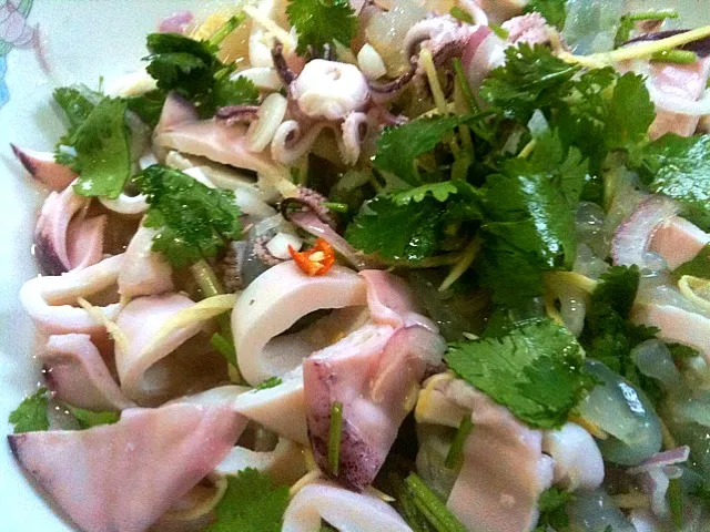 Squid & Jellyfish Salad|Shiroi Yukiさん