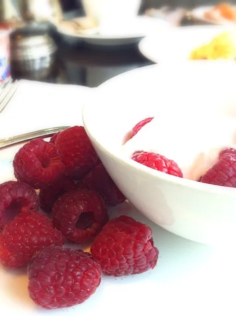 raspberries & yoghurt|Tinky 🍒さん