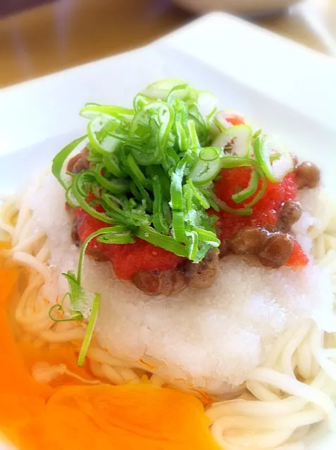 納豆おろし明太ぶっかけうどん。玉子つぶれましたよ…でも全部混ぜて食べるし問題なし。|liccaさん