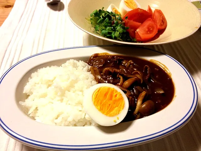 飛騨牛のハッシュドビーフと、サラダ。豆苗の炒め物も。土曜の夜なのに手抜きご飯〜。|canadienneさん