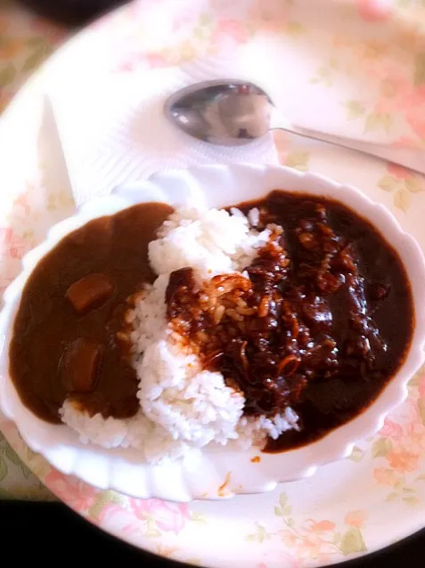 右にハヤシ左にカレー|るちさん