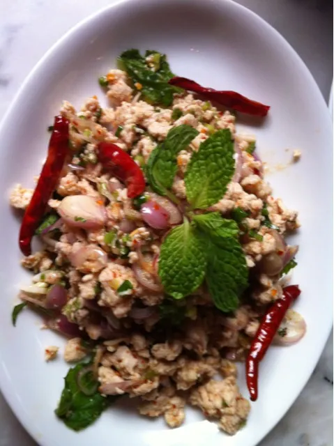 Snapdishの料理写真:larb gai: minced chicken with Thai herbs|Kevin Boydさん