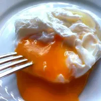 Broken poached egg|Palomaさん