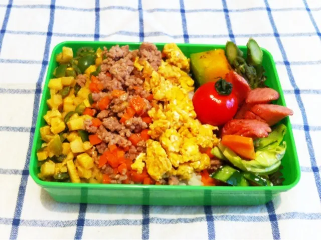 今日の弁当 三色ごはん弁当|tacaccoさん