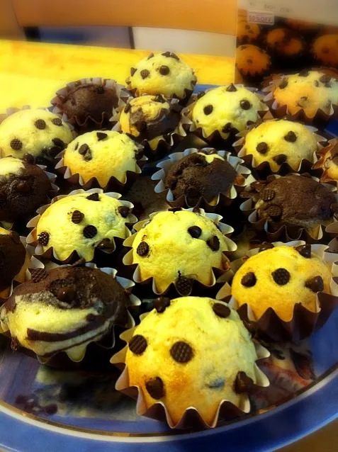 Choco chips muffins|Felicia Solihinさん