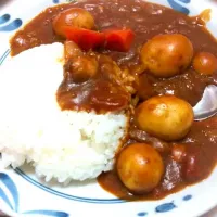 Snapdishの料理写真:チキンカレー|yosuke nishizawaさん