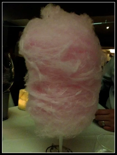 bill was served with cotton candy|Tinaさん