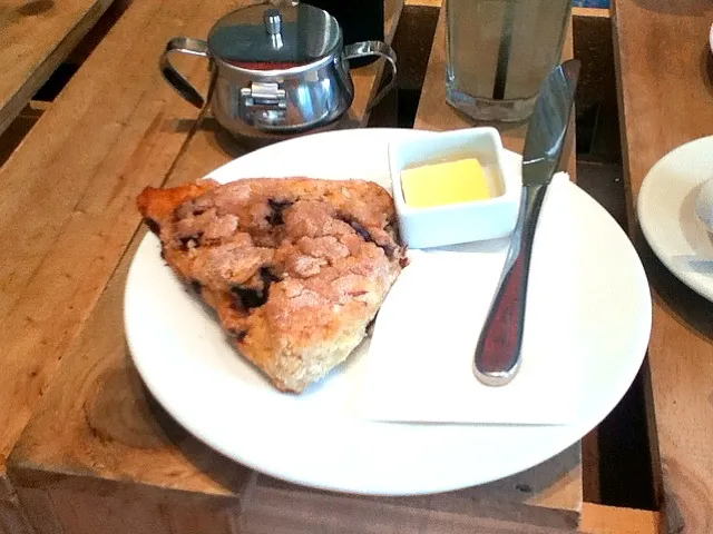 blueberry &lemon scone @Teed st larder|Masashi Oikeさん