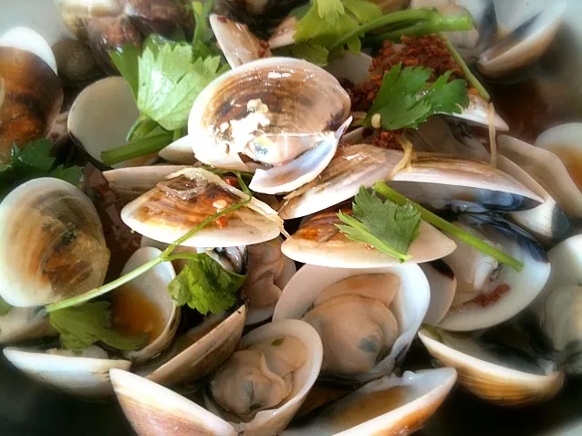 Stir Fry Fresh Clams|Shiroi Yukiさん