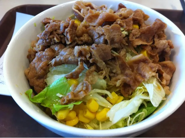 牛丼ライト|こうじさん