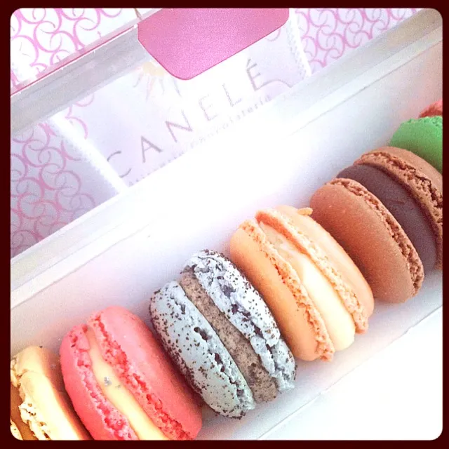 Macarons|Faiezah Hussinさん