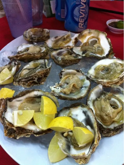 oysters|Darren Loさん