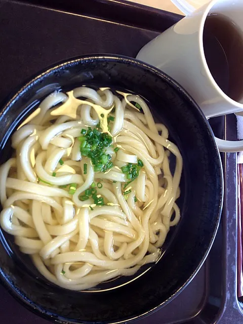 3/7昼食 素うどん|Jun Neagariさん