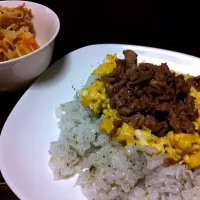 ちらし寿司。|蜜蜂。さん