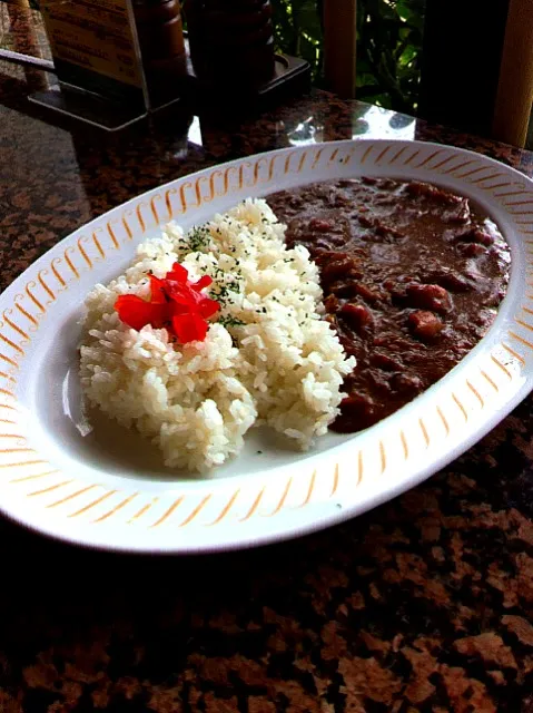 イチロー（選手）にも食べてもらいたいカレー|shuさん