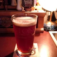 Stone Levitation Ale|Yusuke HIRASAWAさん